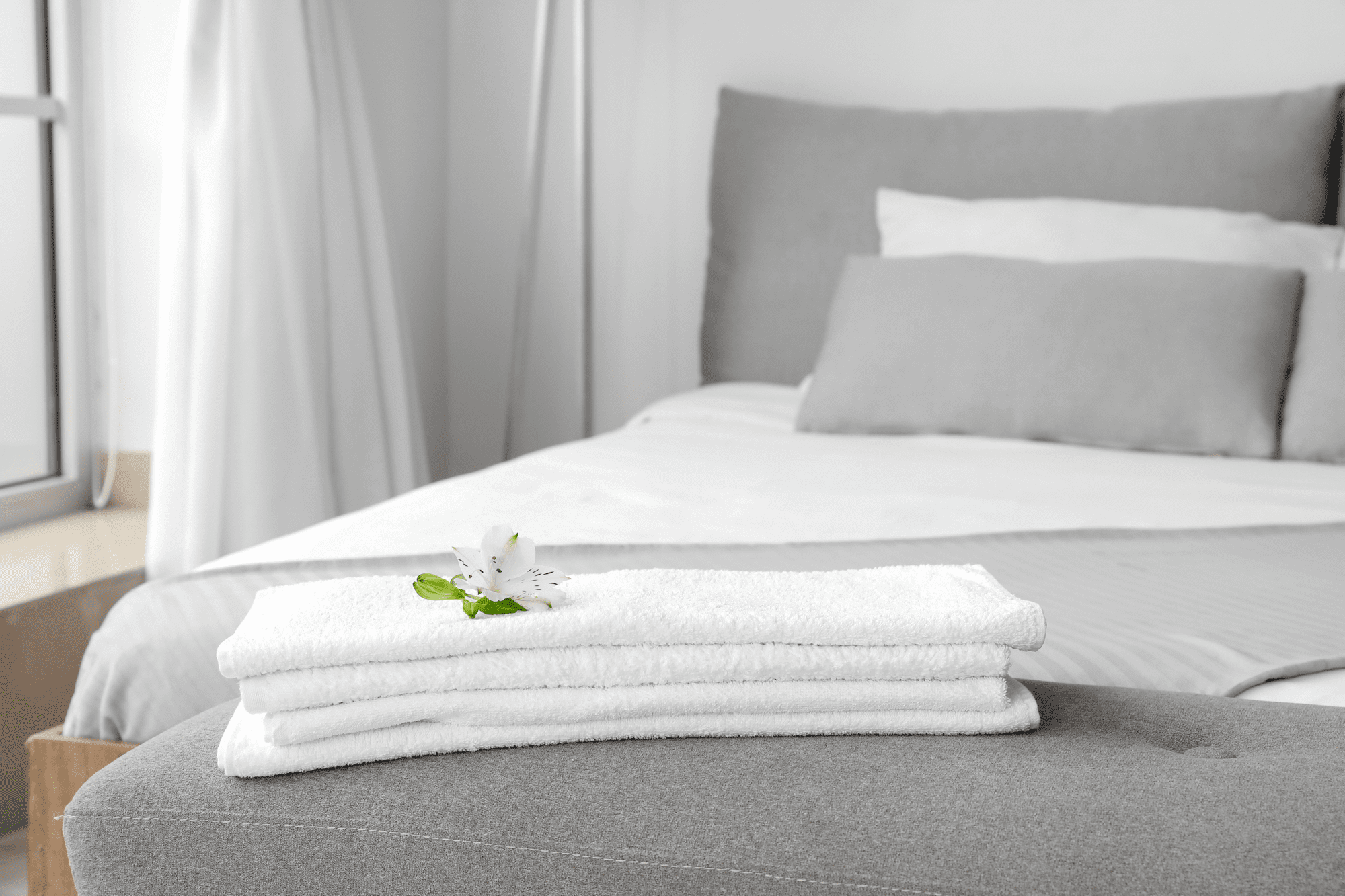 Hotel Laundry Services